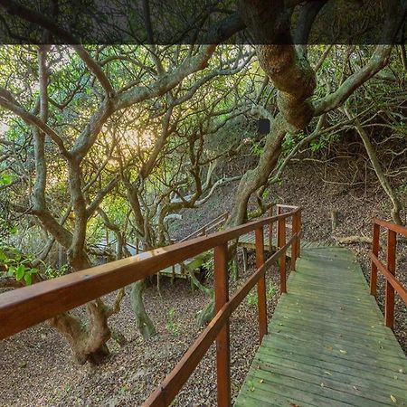 Hotel Moquini House Wilderness Zewnętrze zdjęcie